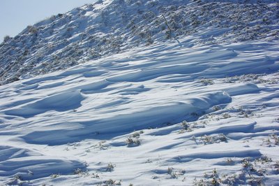 resizeIMGP9351.jpg (228.75 KiB) 閲覧された回数 6293 回 風雪紋(シュカブラ)