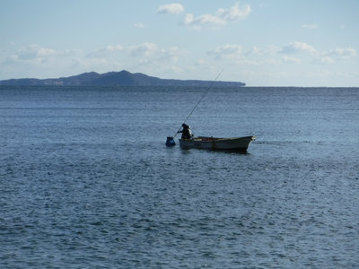 網代浜の漁