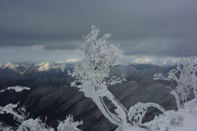 resizeIMGP9663.jpg (143.2 KiB) 閲覧された回数 5378 回 鈴鹿北部も真っ白。