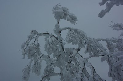 resizeIMGP9633.jpg (119.43 KiB) 閲覧された回数 5381 回 冬道も凄いことに。