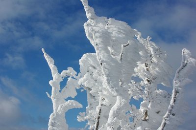 resizeIMGP9723.jpg (140.91 KiB) 閲覧された回数 5378 回 僅かだったけど青空と霧氷。