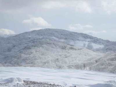 P1310109.jpg (45.15 KiB) 閲覧された回数 7720 回 たどり着けなかった御池テーブルランド
