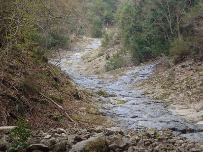 P4050040.jpg (175.88 KiB) 閲覧された回数 7391 回 ナメの始まり始まり