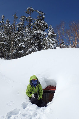 P3240623.JPG (124.58 KiB) 閲覧された回数 7557 回 完全に埋もれたコスモ小屋