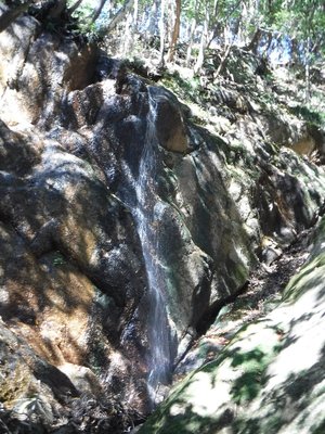 穴ノ谷　稜線直下の滝