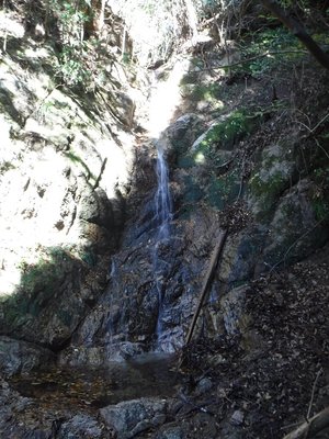 穴ノ谷の１０ｍ滝　１