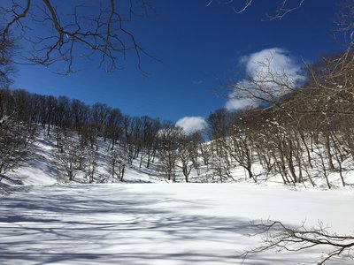 真冬の長池