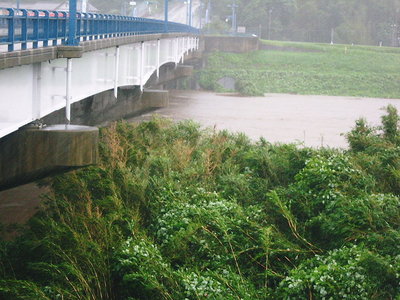 ● 鈴鹿川の増水も余裕の水位でした。昨日夕方