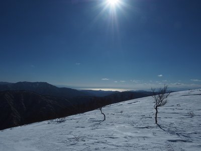 鞍部から光り輝く琵琶湖と横山岳のシルエット