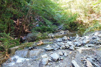 DSCF2264.jpg (248.67 KiB) 閲覧された回数 7122 回 マナコ谷登山口