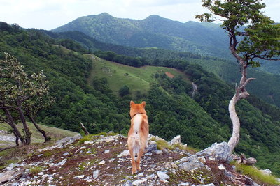 DSCF1677.jpg (278.13 KiB) 閲覧された回数 6937 回 シャイですので後ろ姿で失礼します