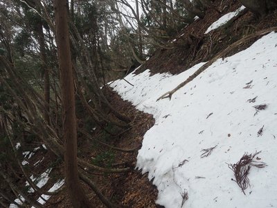積雪した片斜面の古道