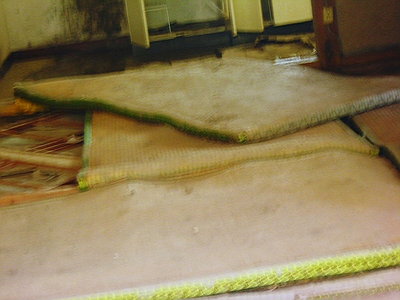 入鹿地区は酷いもの、濡れ畳の外だし