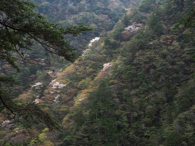 最後の休憩地点にて