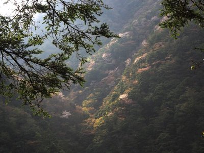 途端に西陽がさしてきて