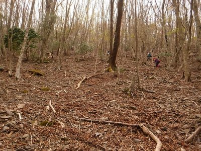 皆さん足が強い。置いてきぼりにされた。