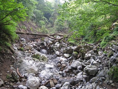 タテ谷道分岐辺りの状態