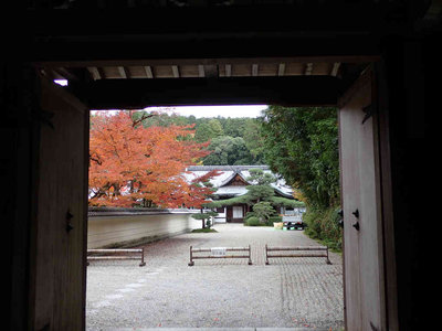 PB260113.jpg (61.6 KiB) 閲覧された回数 3360 回 円照寺