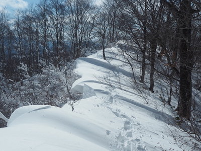 猫ヶ洞の雪庇.jpg