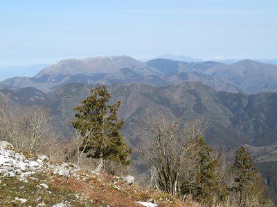 霊仙山、伊吹山、遠くに白山も見えます