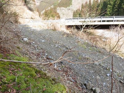 駐車地へどんぴしゃり