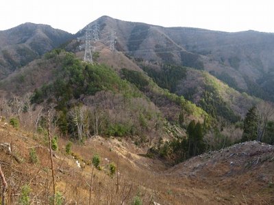 高畑山から鞍部への坂