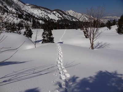 小原峠手前の開けた所、奥に大舟山