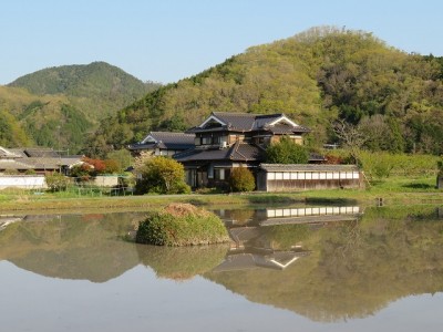 4.29　丹波笹山　田植え前の水田