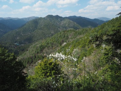 大原三山.jpg