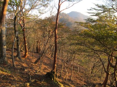 IMG_4899.JPG (222.94 KiB) 閲覧された回数 9665 回 奥が鯎谷高