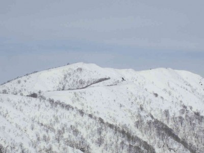 金糞岳　花房尾根