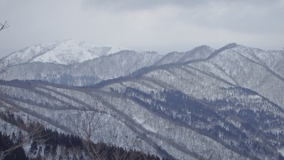 北尾根から白倉岳への稜線