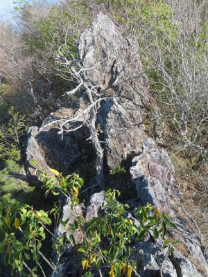 IMG_3151.jpg (222.71 KiB) 閲覧された回数 3049 回 ナイフリッジ