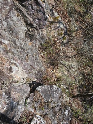 IMG_3171.jpg (234.96 KiB) 閲覧された回数 3032 回 ナイフリッジの東側 手前のステップの先の一歩が7~80cm下で踏み出せない