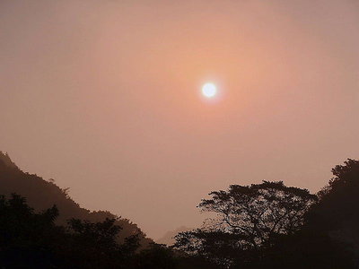 ● 朝霧に 優しき光 けふも晴れ