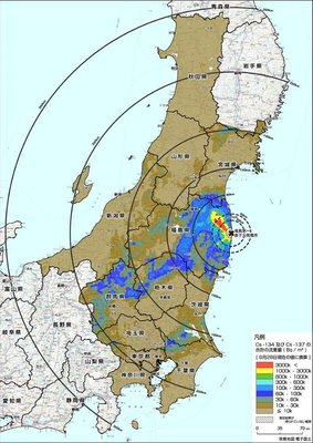 文科省最新セシウム汚染地図