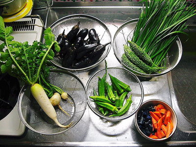 ● 自作野菜にレシピ、コレが健康の元の感じするなあ。