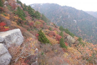 DSCF0076.JPG (1.51 MiB) 閲覧された回数 3215 回 富士見尾根の岩場