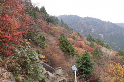 DSCF0078.JPG (1.64 MiB) 閲覧された回数 3218 回 8号目