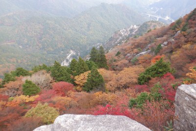 DSCF0080.JPG (1.58 MiB) 閲覧された回数 3218 回 岩場のテラス