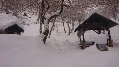 16445021722270 - コピー.jpg