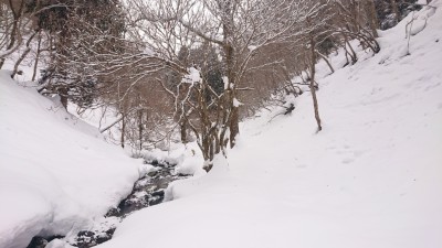 16442472916297 - コピー.jpg