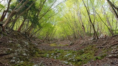 16507829290242 - コピー.jpg