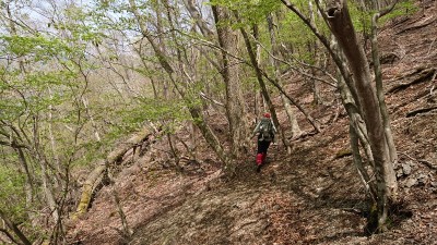 16507833836753 - コピー.jpg