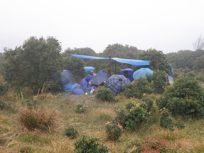 PA300207_800.jpg (164.46 KiB) 閲覧された回数 9695 回 開演10分前、11時20分の様子・・・。<br />「山のホームレスやがな」って、誰?