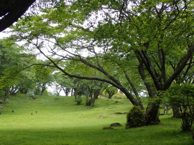 P5060021.jpg (116.34 KiB) 閲覧された回数 3364 回 屏風岩公苑