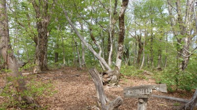 P5063611.JPG (2.87 MiB) 閲覧された回数 5049 回 鎌倉山山頂付近