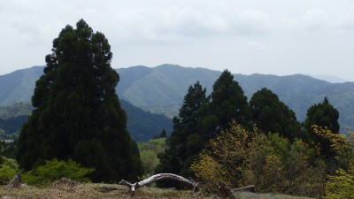 P5063654.JPG (2.37 MiB) 閲覧された回数 5049 回 皆子山