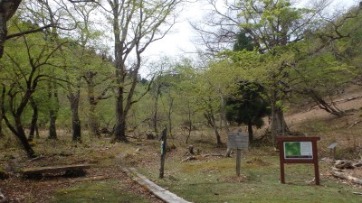 クラガリ谷分岐