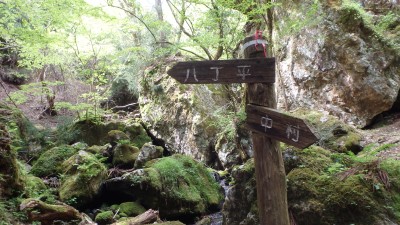 P5063717.JPG (2.75 MiB) 閲覧された回数 5049 回 右俣合流点